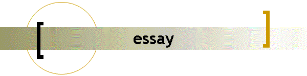 essay
